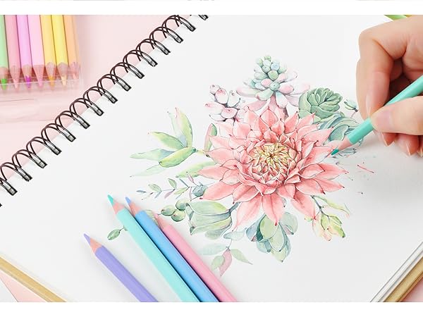 Vibrant, richly pigmented pastel colors blend smoothly for shading and mixing on all paper