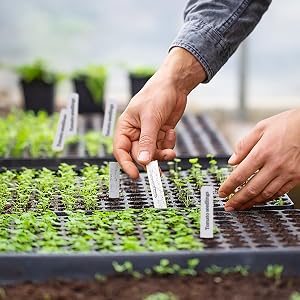 plant labels tags