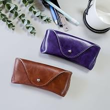 sunglass case rayban