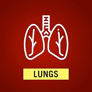 Lungs