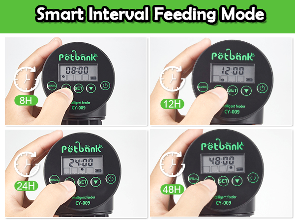timed fish feeder