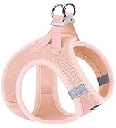 Step-in Small Dog Harness