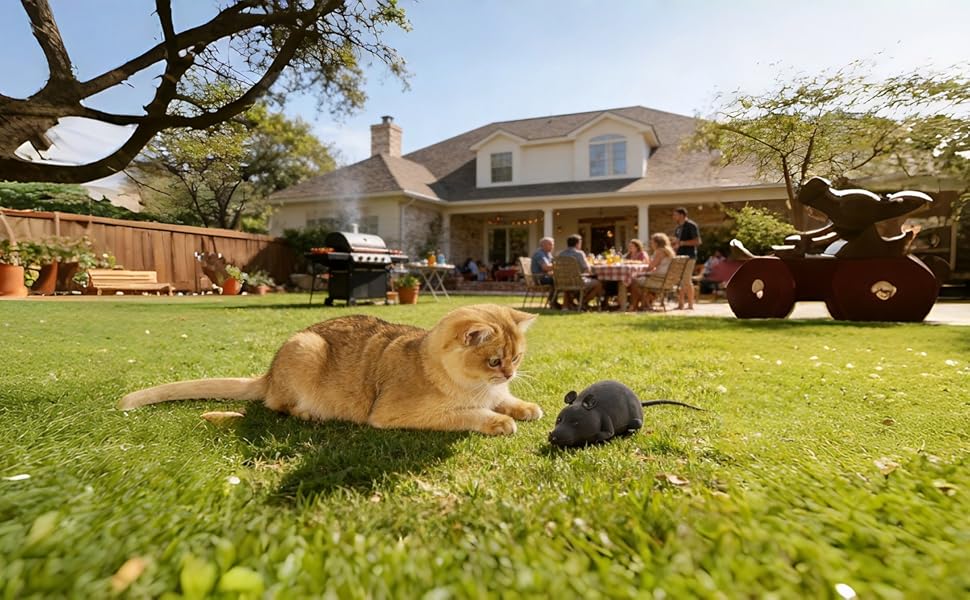 Great for multi-cat households, reduces boredom and tension.