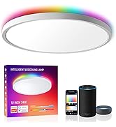 Smart Led Ceiling Light Flush Mount, MELEGAN 12 Inch 24W Ceiling Light Fixture Dimmable 2700K-650...