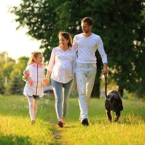 mosquito guard family