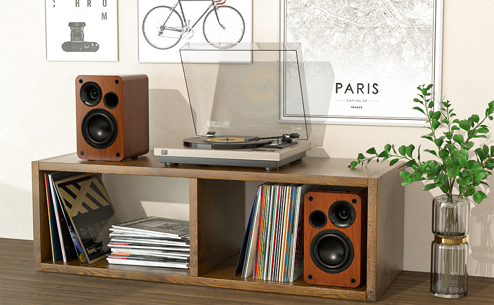 bookshelf speakers