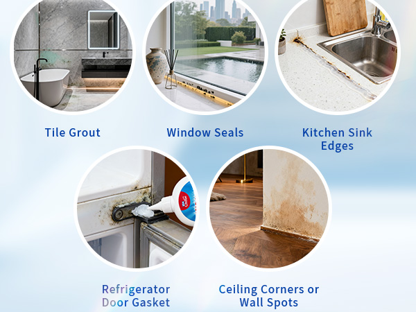 mold remover gel