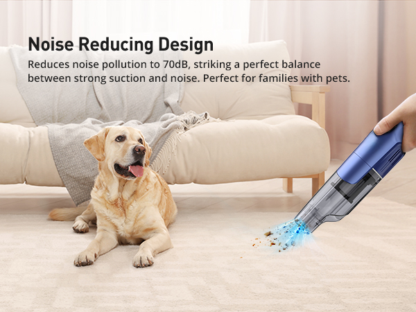 Handheld Vacuum