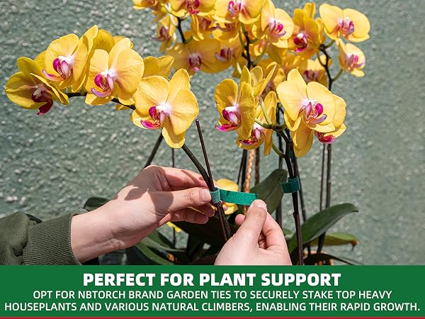 plant ties for outdoor plants garden green tape for plants tomato ties for climbing plants