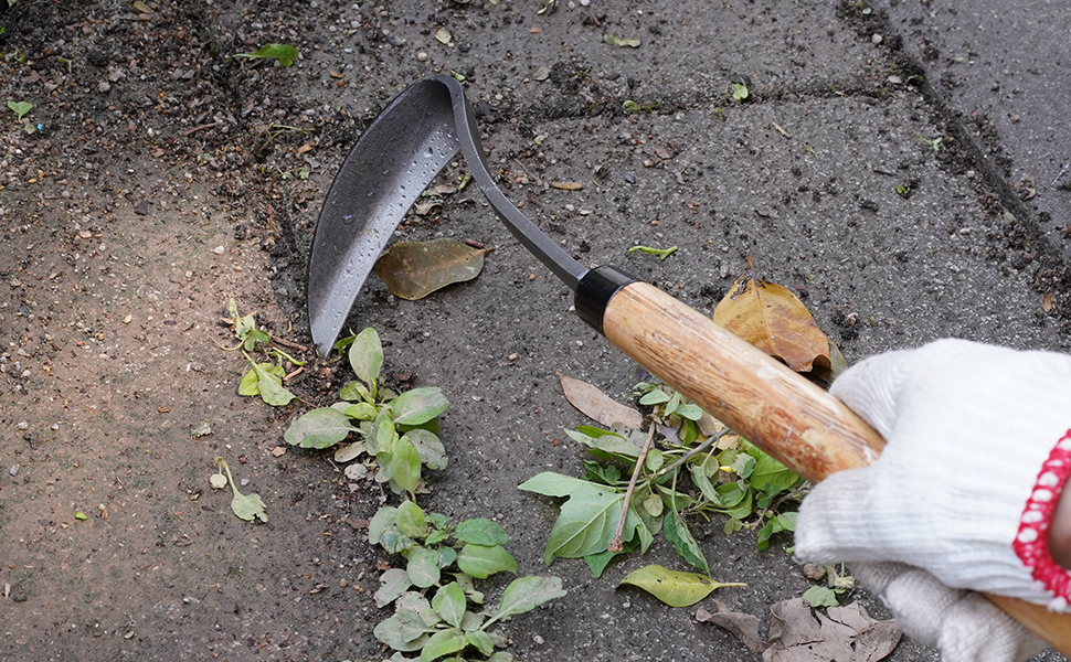 weed remover tool