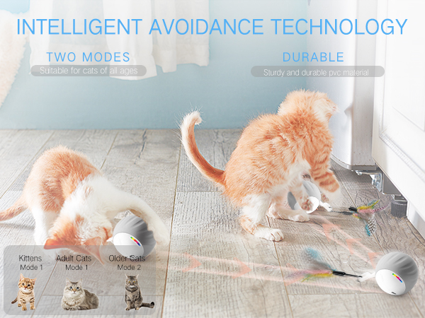 interactive Cat toys
