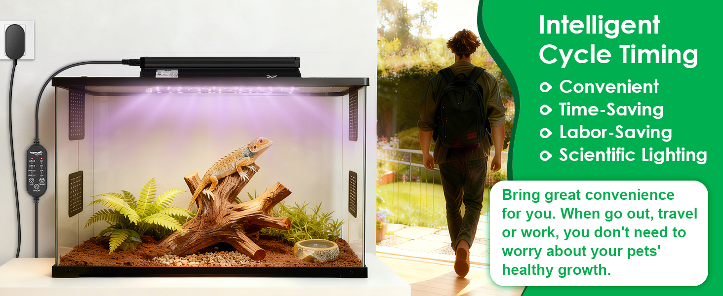 uvb light for bearded dragon