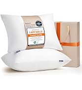 Bedsure Pillows Queen Size Set of 2 - Hotel Collection Bed Pillows for Sleeping, with Down Altern...
