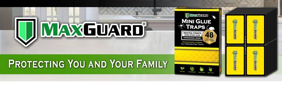 MaxGuard Protecting You and Your Family