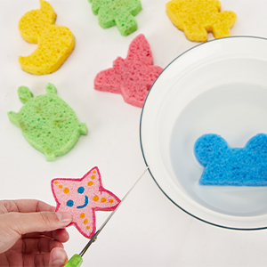 craft sponges