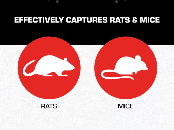 Effectively Captures Rats and Mice