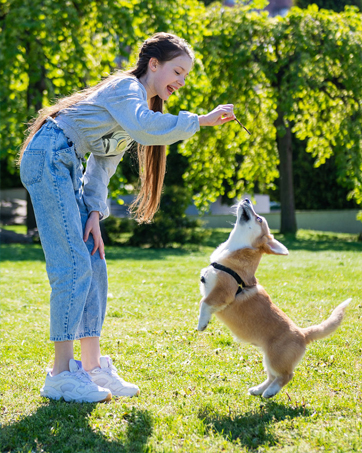 dog training collar with remote