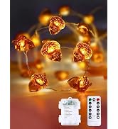 Fall Decor Acorn Fairy Lights Battery Operated with Remote, 10ft 30LED Acorn Fall Lights String 8...