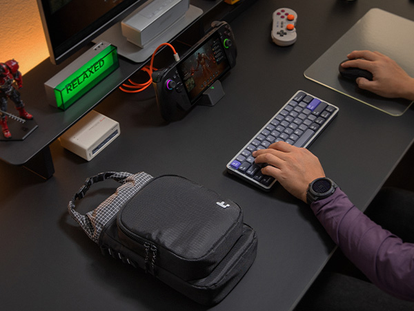 switch 2 bag
