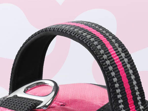 dog harness