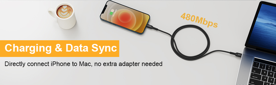 lightning cable 6ft