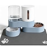 ZBIAOJNU Automatic Cat Feeder and Water Dispenser 2 Pack Gravity Stainless Steel Feeder Bowls wit...