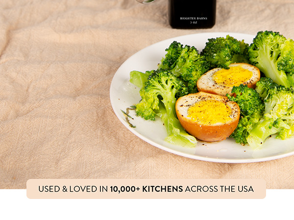 Salt and Pepper Shakers Used and loved in 10000 kitchens Mobile