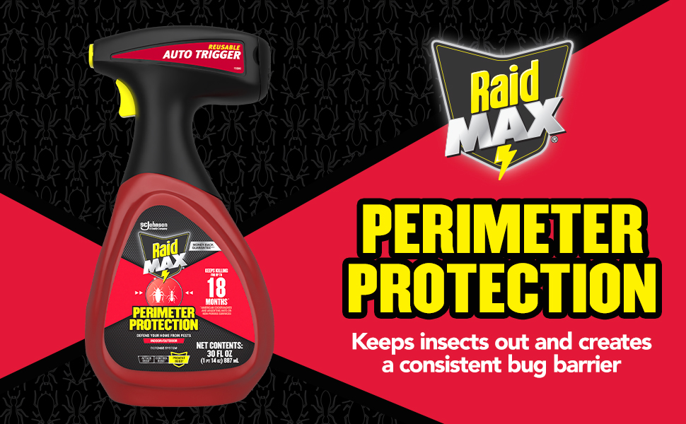 raid