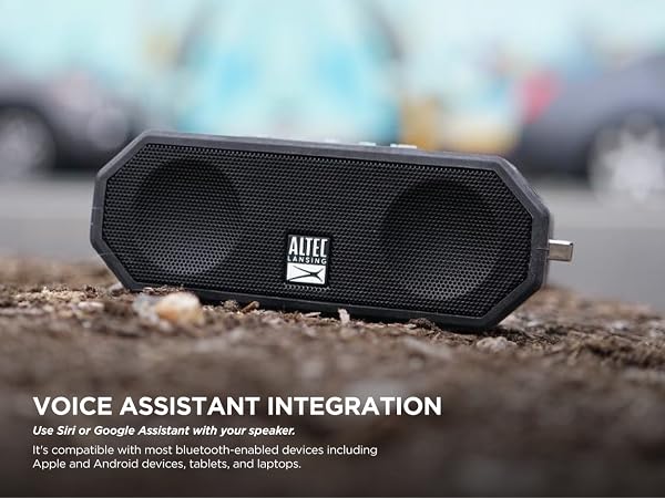 VOICE ASSISTANT