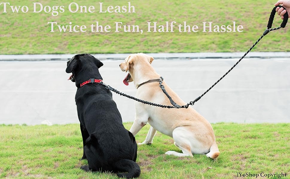 double dog leash