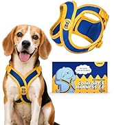 PETHROOM Comfort-X Dog Harness 2.0 – Step-In Lightweight Vest, No Choke, Easy On/Off with One-Tou...