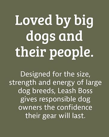 LBS Brand Story