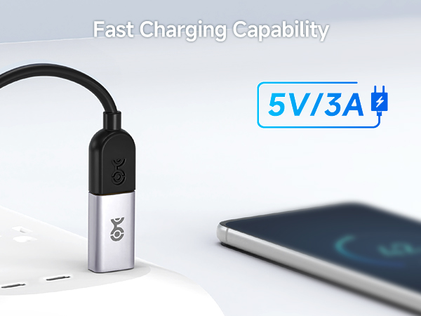 10Gbps USB C to USB Adapter