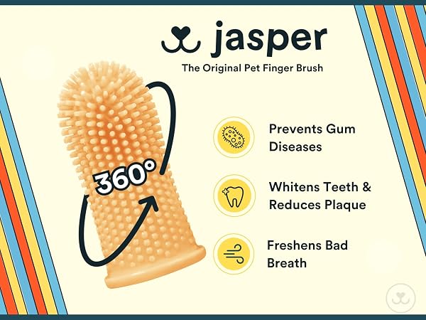 jasper pet finger brush