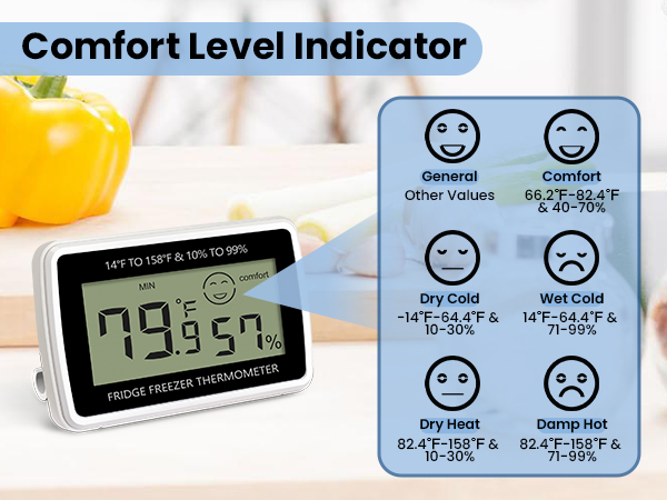 thermometer for refrigerator