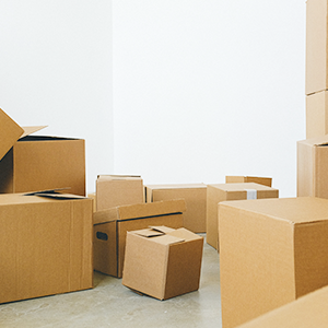 Carton box, Shrink wrap, Cable tie, Plastic strap/band, etc.