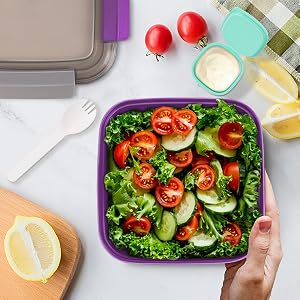 lunch containers for women