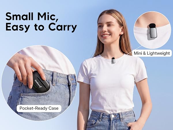 Small Mic, Easy to Carry