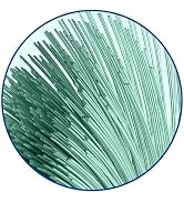 Replacement Brush Heads Compatible with 7am2m AM101/AM105 Sonic Electric Toothbrush - Medium Bris...
