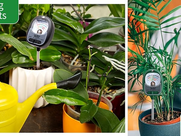 AiGerdinn 4in1 Soil Moisture Meter