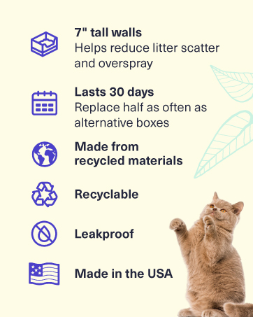 cat litter disposable box leak-proof silica crystal clumping odor control low dust natural plant