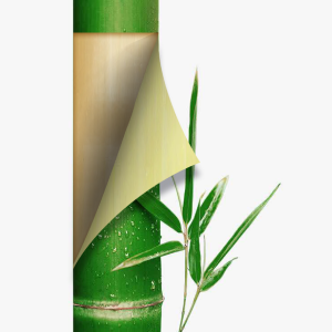 bamboo skewers
