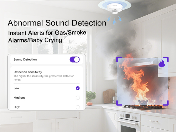 Indoor Security Camera