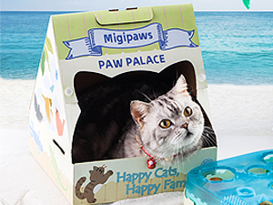 cat toys,cat toys for indoor cats best sellers,automatic cat toyinteractive cat toys for indoor cats