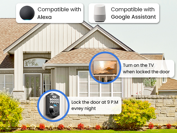 Compatible with Alexa and Google for smart home integration