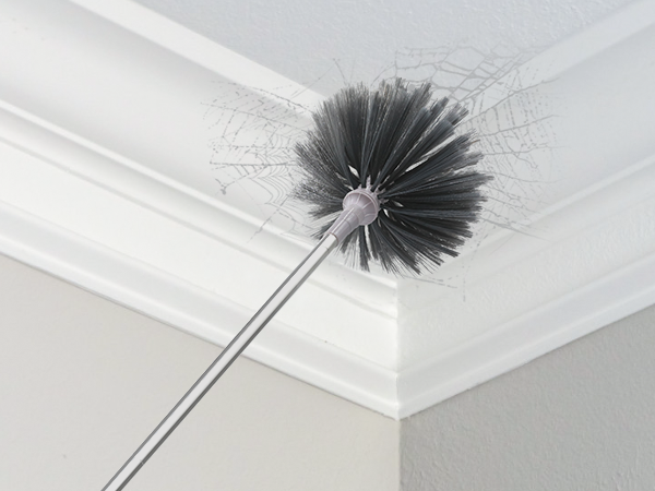 Spider web brush