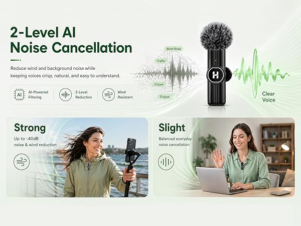 mini mic