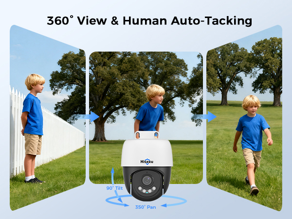 360 view
