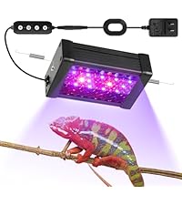 https://m.media-amazon.com/images/I/414rXhePn0L.__AC_SR200,225___.jpg