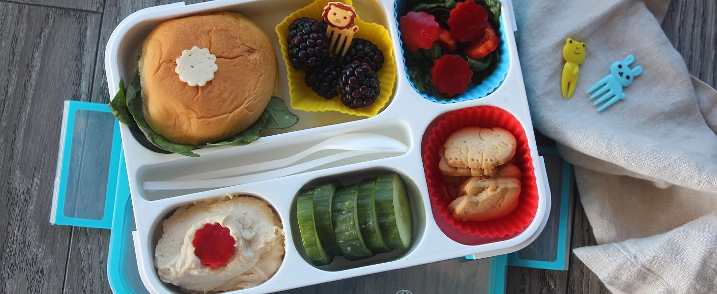 kinsho bento box lunch boxes for kids toddlers school